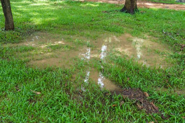 Cost of Storm Water Drainage Service in Scranton