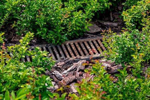 Cost of Underground Drainage Service in Scranton