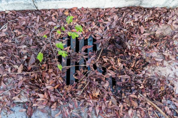 Cost of Yard Drain Unclogging in Scranton