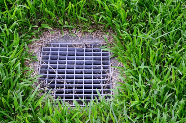 Cost of Yard Water Drainage in Scranton