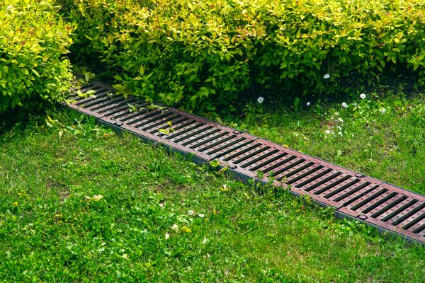 Cost of Lawn Drainage in Scranton