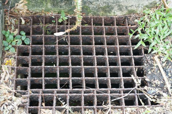 Cost of Yard Drain Cleaning in Scranton