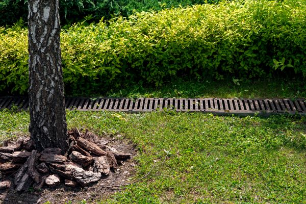 Cost of Wet Yard Drainage in Scranton