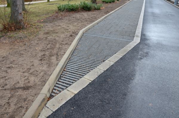 Cost of Muddy Yard Drainage in Scranton