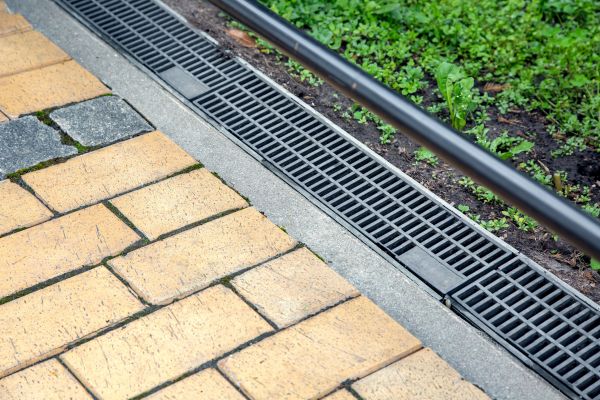 Cost of Waterlogged Yard Repair in Scranton