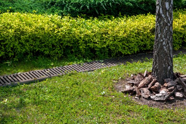 Cost of Residential Landscape Drainage in Scranton