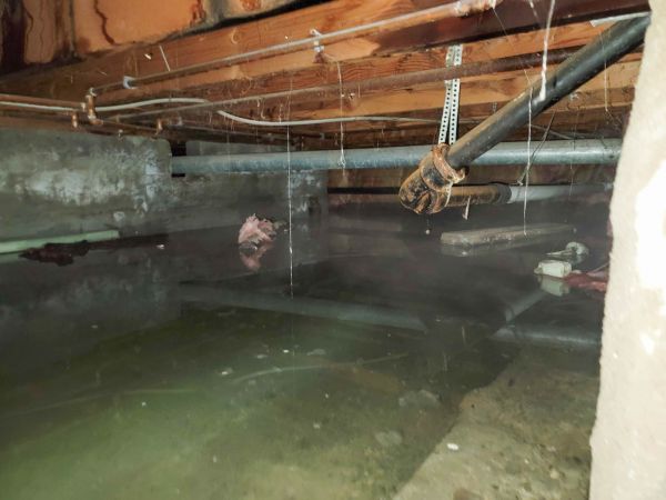 Cost of Crawlspace Drainage in Scranton