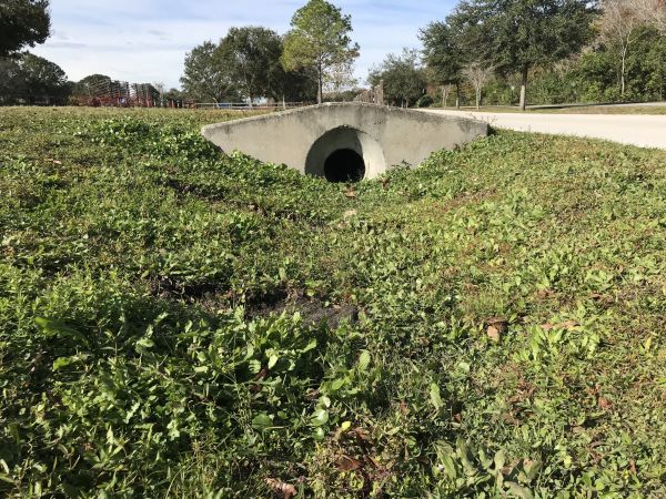 Cost of Swale Drainage Service in Scranton