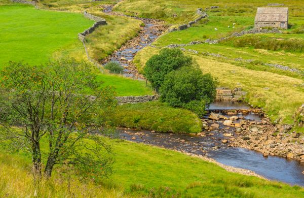 Cost of Swale Repair in Scranton